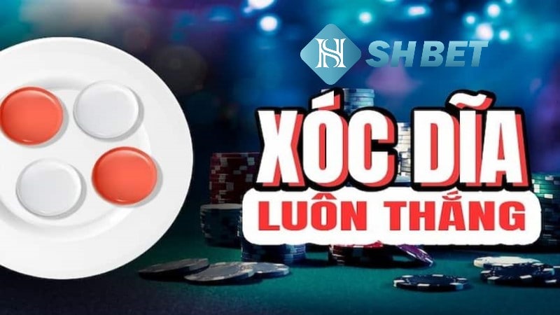 Cách cược xóc đĩa trên SHBET luôn thắng