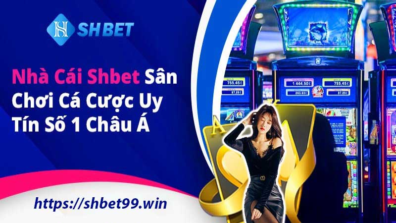 Nâng tầm trải nghiệm tại SHBET