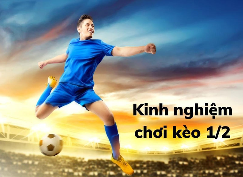 Kinh nghiệm đặt kèo 1/2 để nâng cao tỷ lệ thắng