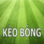 Tổng hợp những trường hợp xả kèo bóng đá của người chơi