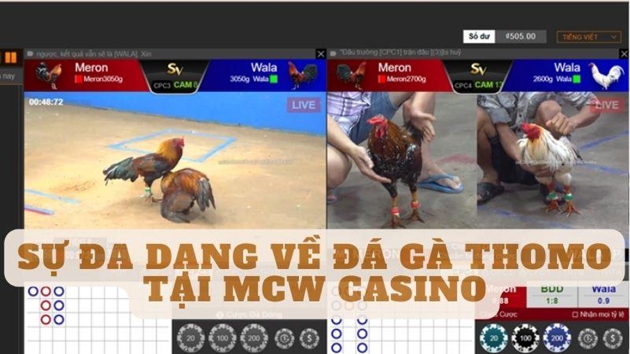 casinomcw 1