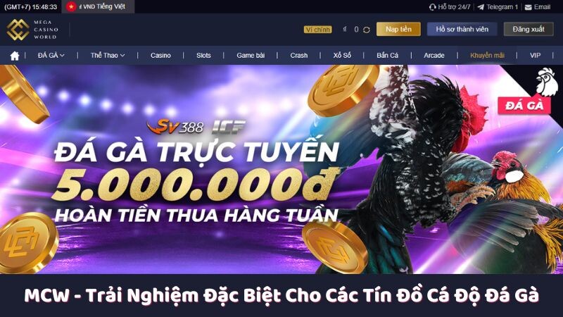 Giới thiệu chung về nền tảng cá cược MCW