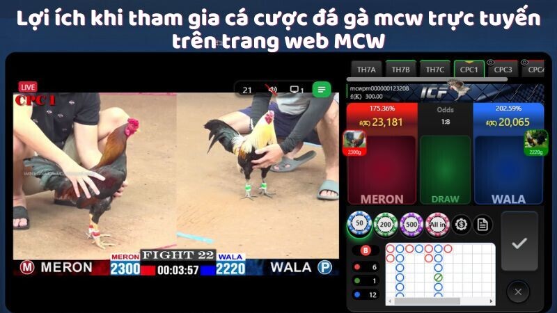 Lợi ích khi tham gia cá cược đá gà mcw trực tuyến trên trang web MCW